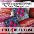 Männliche Seidenraupenmotte, Die Orale Flüssigkeit Nährt 14